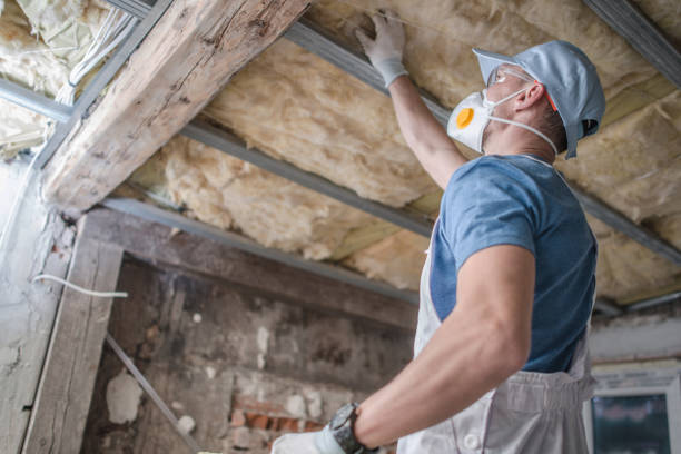 Best Specialty Insulation in Cortland, IL