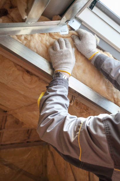 Best Insulation for Specific Applications in Cortland, IL