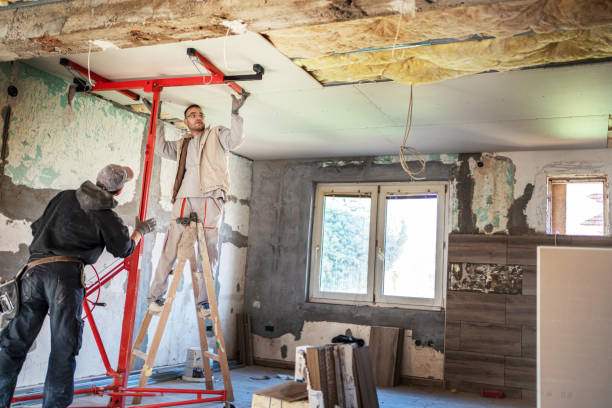 Best Insulation Maintenance and Repair in Cortland, IL
