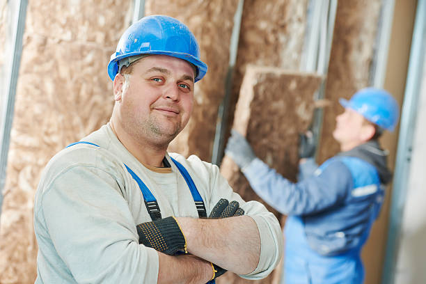 Best Energy Efficiency Solutions in Cortland, IL