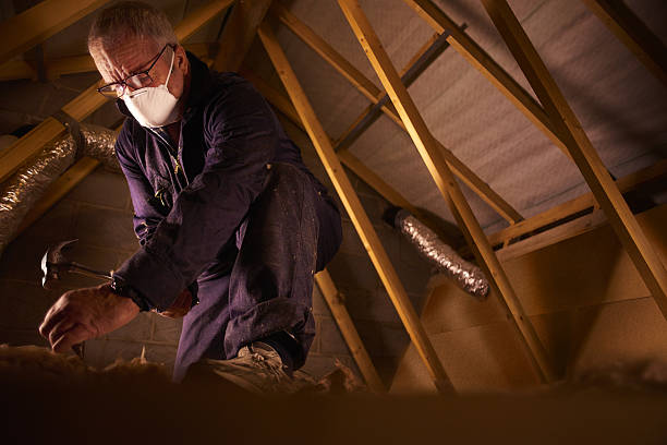 Best Energy Efficiency Solutions in Cortland, IL